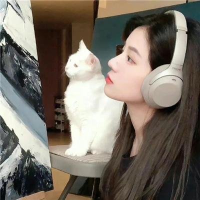 老板好坏