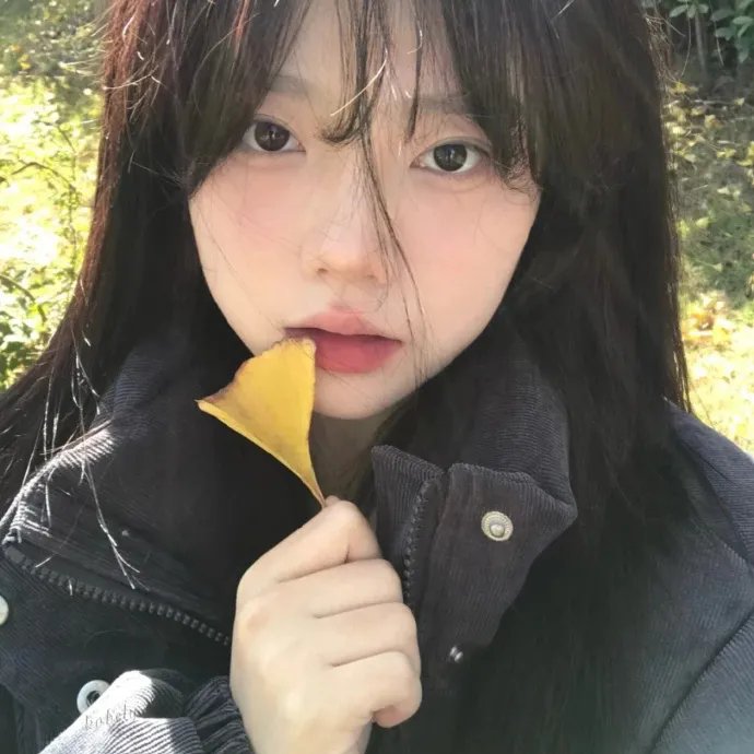 夜晚开的花